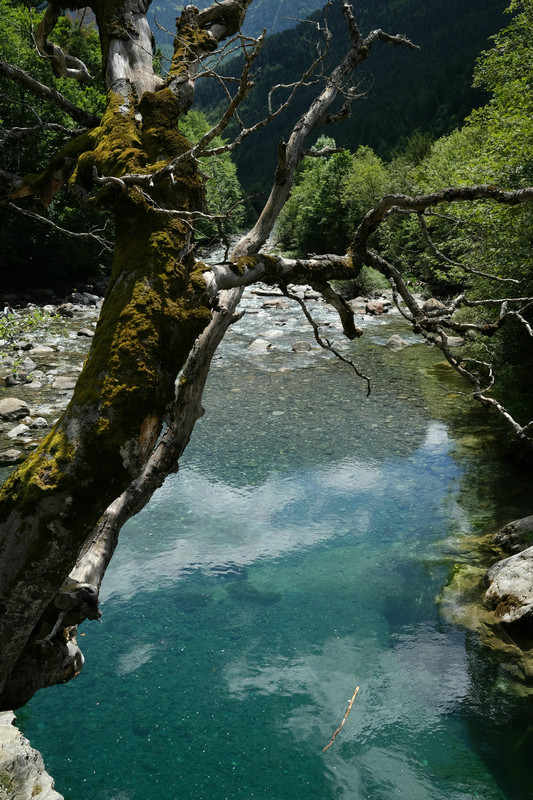 五參數(shù)自動監(jiān)測儀 五參數(shù)自動監(jiān)測儀