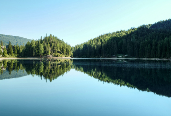 1746587248491609.jpg pexels-eberhardgross-518485.jpg